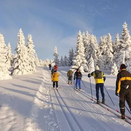 Hurka * Horní Planá