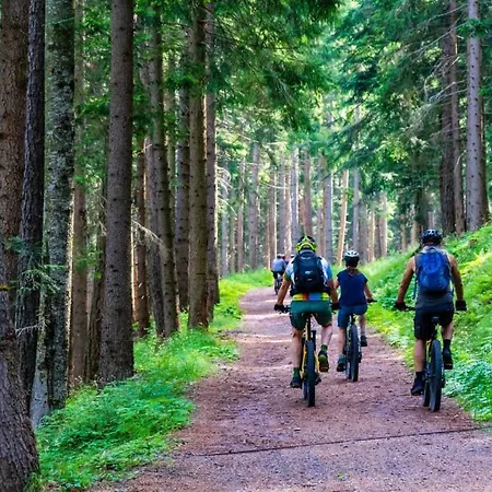 Hurka * Horní Planá